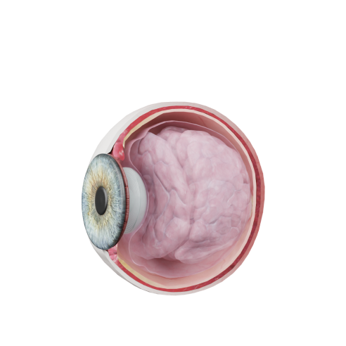 اضطرابات العين